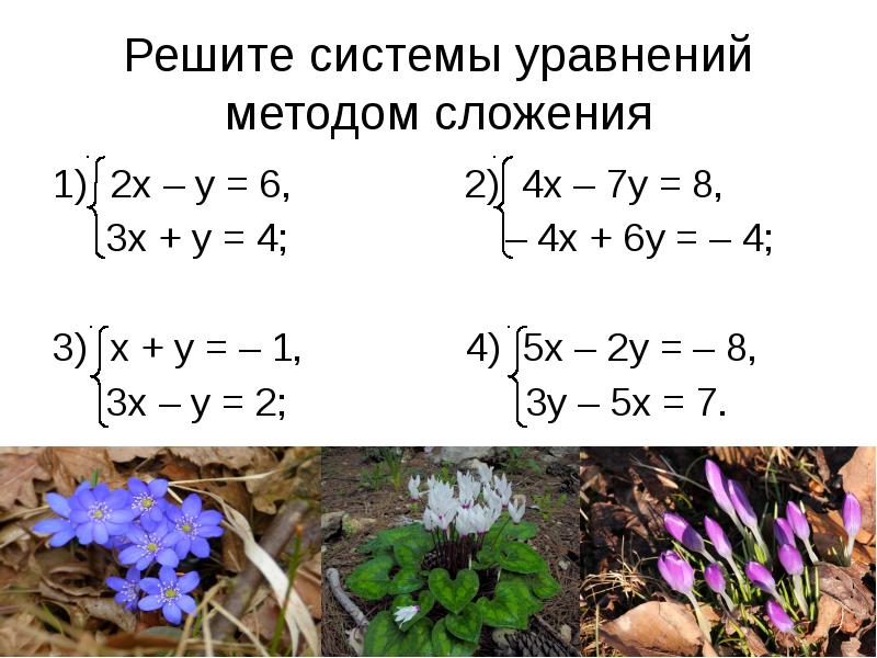 Способ сложения систем уравнений презентация