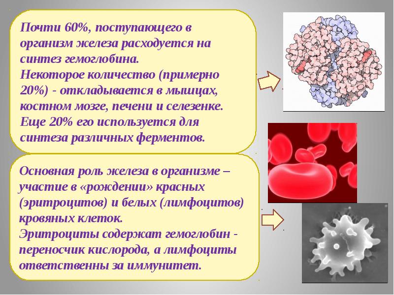 Железо презентация 9 класс химия