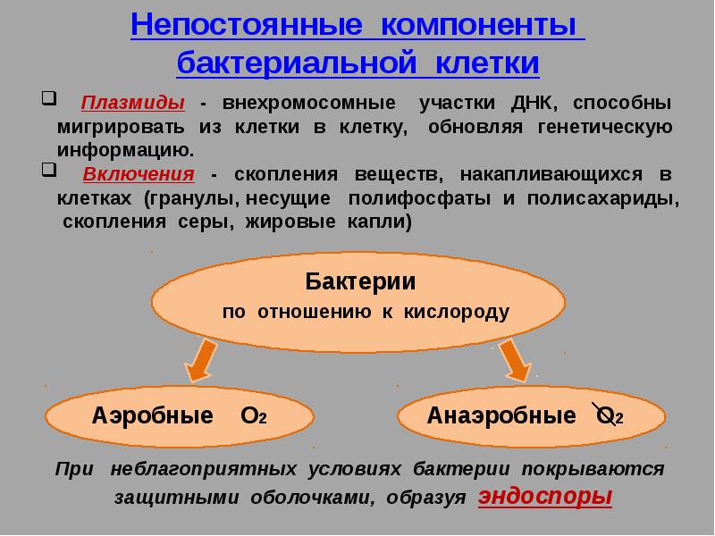 Прокариотические организмы способны к обмену веществ. Способные прокариотические клетки к обмену веществ.