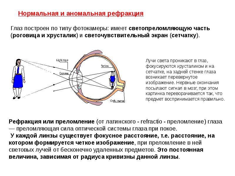 Оптическая система глаза построение изображения в глазе