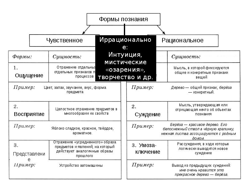 Коммуникативная деятельность человека презентация