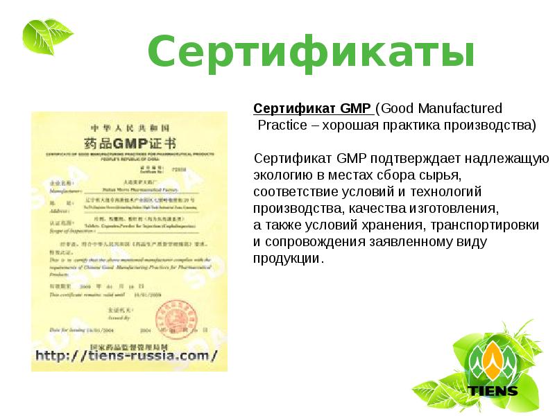 Сертификат производства. Сертификат GMP. Документы подтверждающие GMP. Сертификат GMP ЕАЭС. Сертификат GMP срок действия.