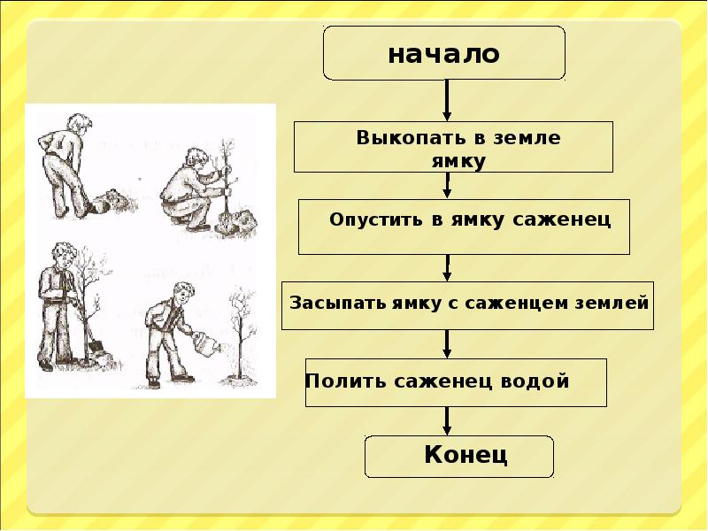 Схема это в информатике 6 класс