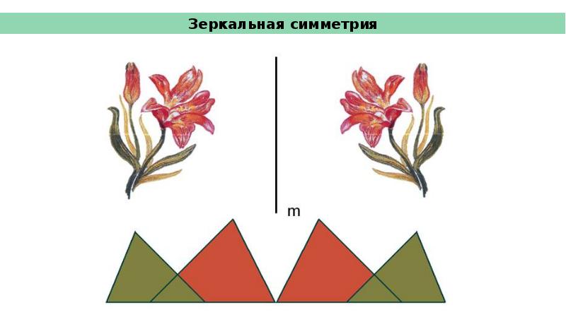 Симметрия и асимметрия в композиции презентация