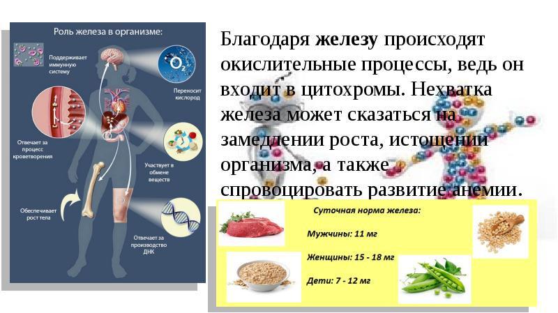 Роль химических элементов в жизни человека проект