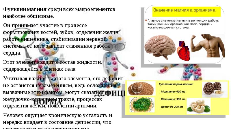 Элементы реальной жизни