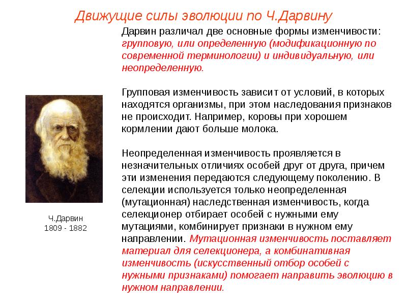 Современную эволюционную теорию согласно учению дарвина можно представить в виде следующей схемы