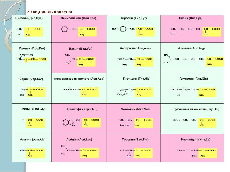 20 белков. 20 Аминокислот таблица биология. Аминокислоты входящие в состав белков таблица. Протеиногенные аминокислоты формулы. 20 Протеиногенные аминокислоты.