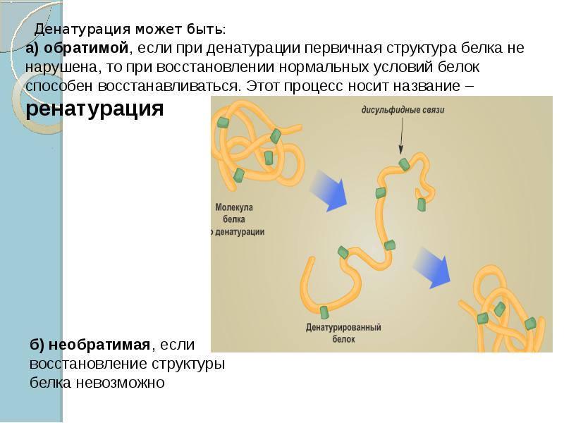 Денатурация это. Денатурация первичной структуры белка. Денатурация вторичной структуры белка. Денатурация белков факторы механизм. Факторы ренатурация белка.