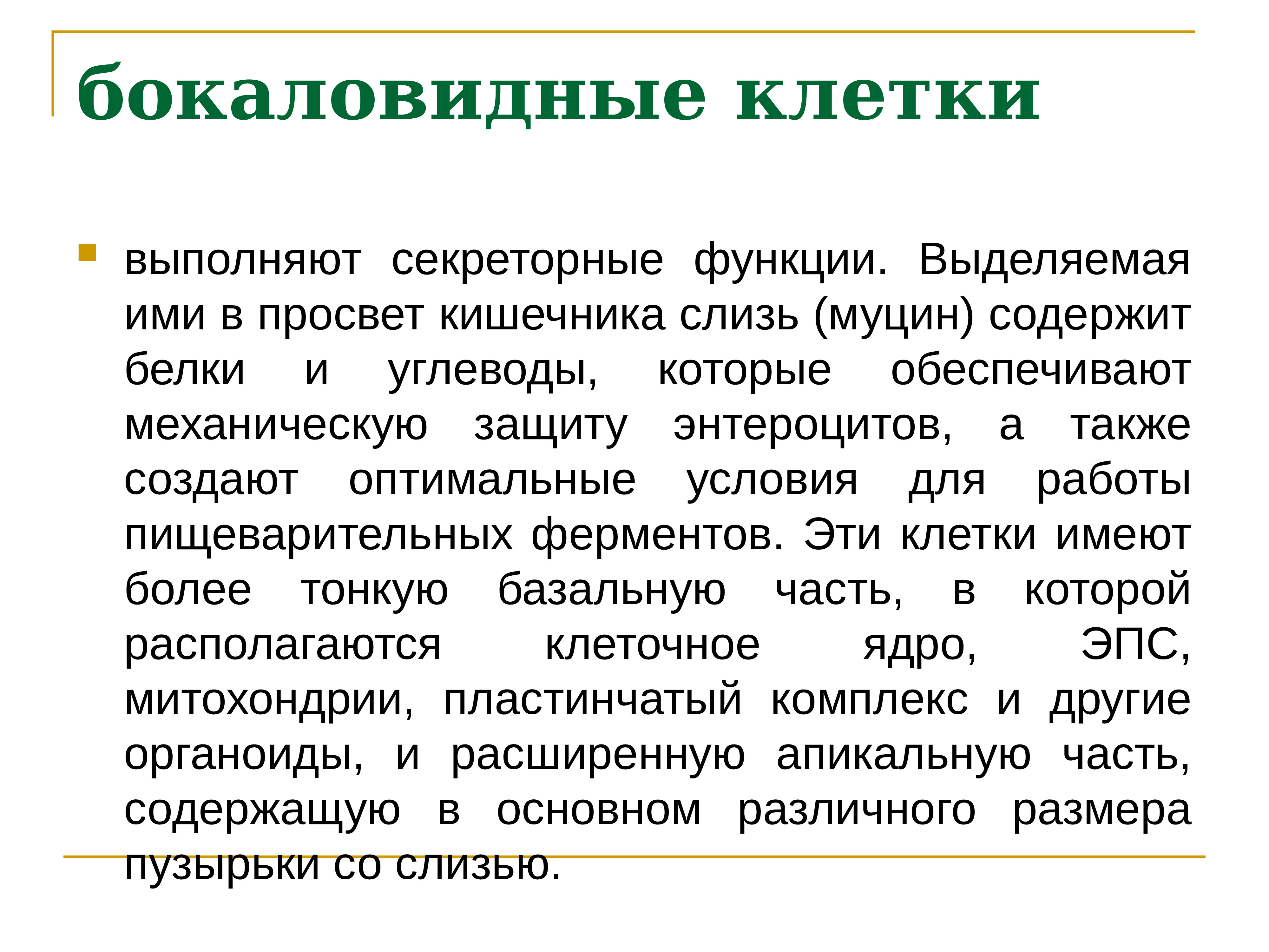 Выделенную функцию выполняют. Бокаловидные клетки. Бокаловидные клетки функции. Бокаловидные клетки кишечника функции. Бокаловидные клетки выполняют функцию.