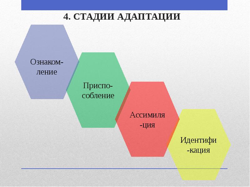 4. СТАДИИ АДАПТАЦИИ 4. СТАДИИ АДАПТАЦИИ