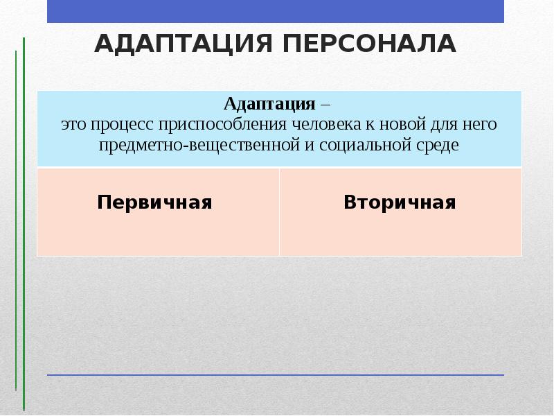 АДАПТАЦИЯ ПЕРСОНАЛА АДАПТАЦИЯ ПЕРСОНАЛА