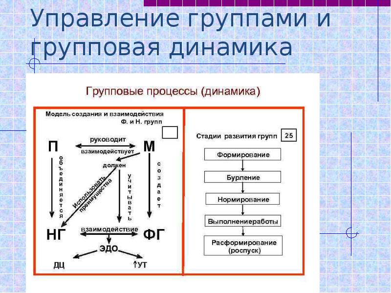 Групповые процессы. Управление групповой динамикой. Стадии динамики группового процесса. Групповые процессы. Динамика группы. Способы управления групповой динамикой.