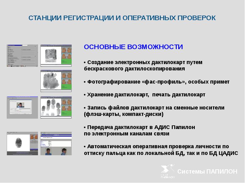 Адис папилон презентация