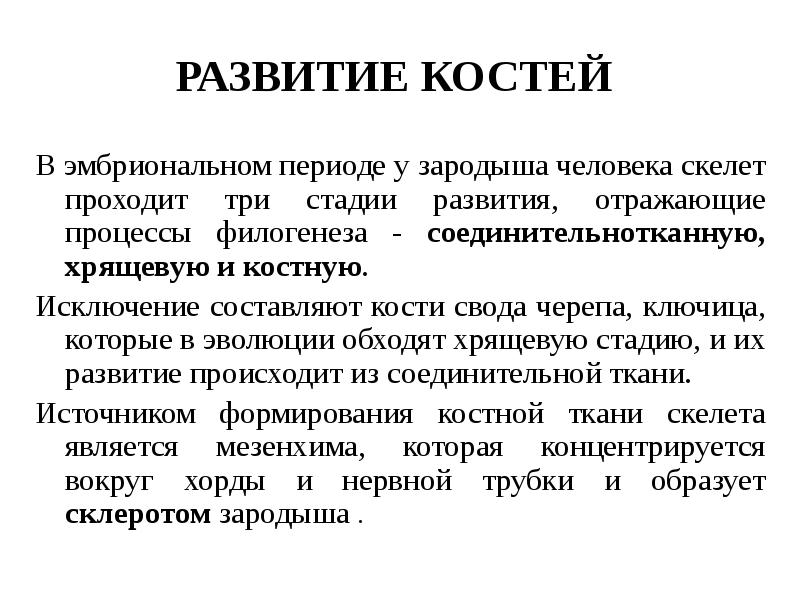 РАЗВИТИЕ КОСТЕЙ
В эмбриональном периоде у зародыша человека скелет проходит РАЗВИТИЕ КОСТЕЙ
В эмбриональном периоде у зародыша человека скелет проходит