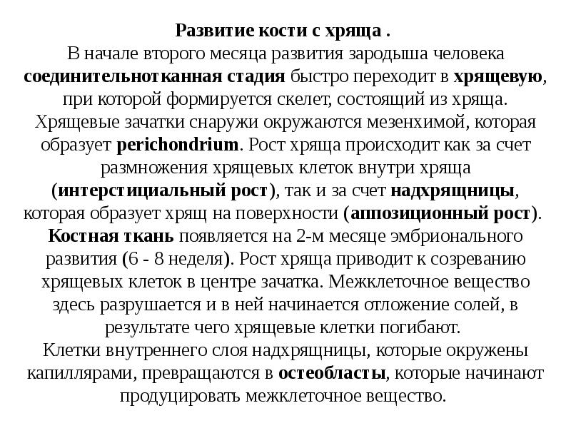 Развитие кости с хряща . В начале второго месяца развития Развитие кости с хряща . В начале второго месяца развития