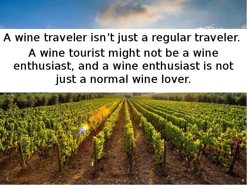 WINE TOURISM презентация, доклад, проект