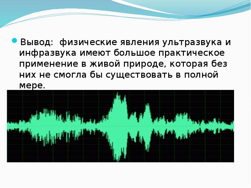 Презентация на тему ультразвук и инфразвук по физике