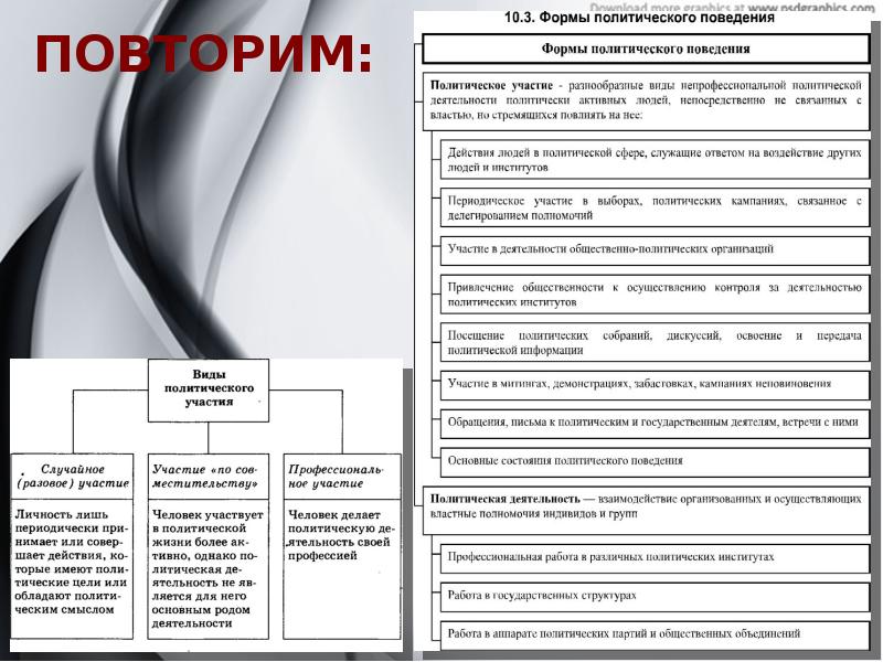 Политическое участие презентация 11 класс профильный уровень