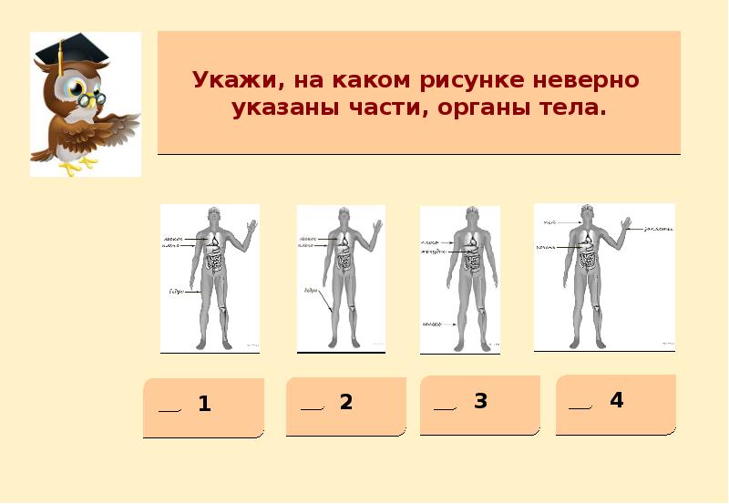 Контрольная работа по окружающему миру 4 класс презентация