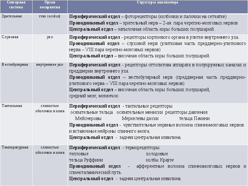 Общий план строения и значение анализатора таблица