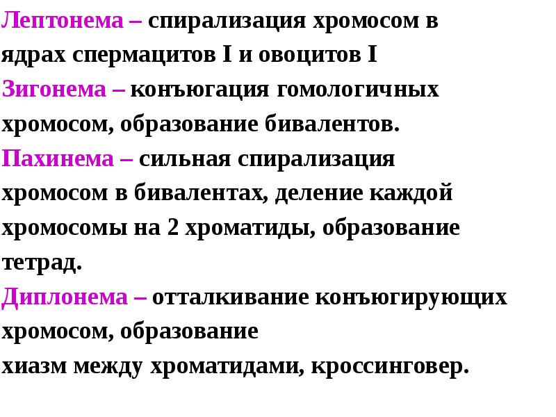 Д спирализация. Пахинема лептонема. Мейоз лептонема зигонема. Диакенез лептонема зигонема. Лептонема зигонема пахинема диплонема.