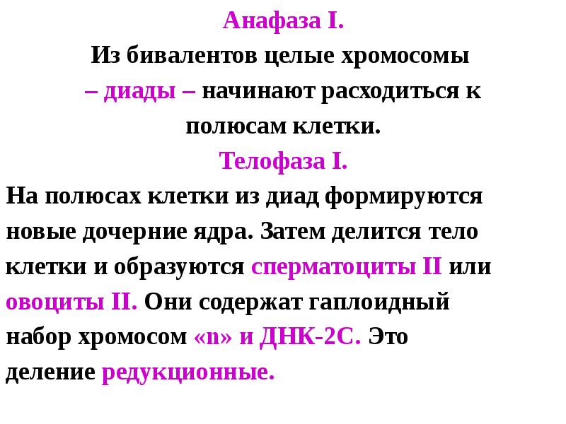 Биваленты набор хромосом. Биваленты это в биологии. Диада хромосом. Диада это в биологии.