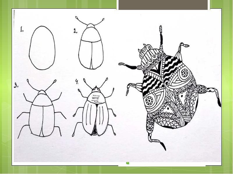Изо презентация 1 класс разноцветные жуки поэтапное рисование