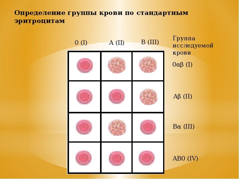 Группа крови клетки. Группы крови определяются 1 а и в в эритроцитах и 2. Набор стандартных эритроцитов для определения группы крови. Определение группы крови стандартными эритроцитами. Определение группы крови с помощью стандартных эритроцитов.