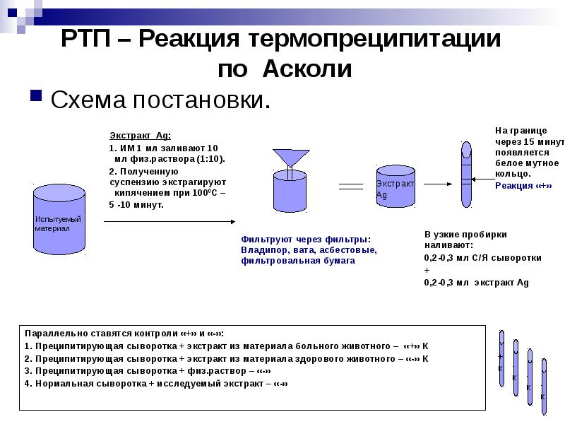 Сыворотки микробиология презентация