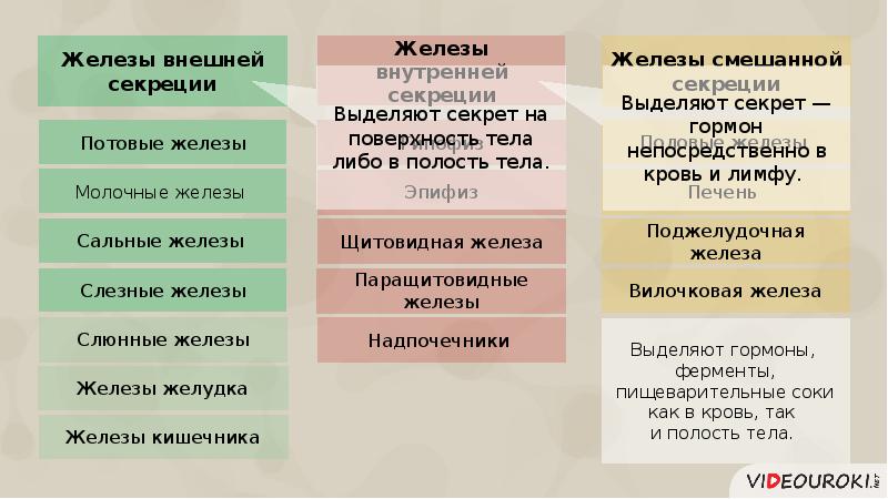 Железы внутренней и внешней и смешанной секреции презентация 8 класс