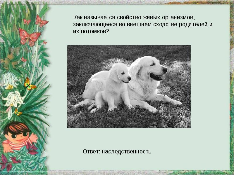 Как называется свойство. Назвать главное свойство живых организмов. Какие свойства живых организмов иллюстрирует рисунок. Сходство родителей и потомков. Как называется сходство живых организмов заключающееся.