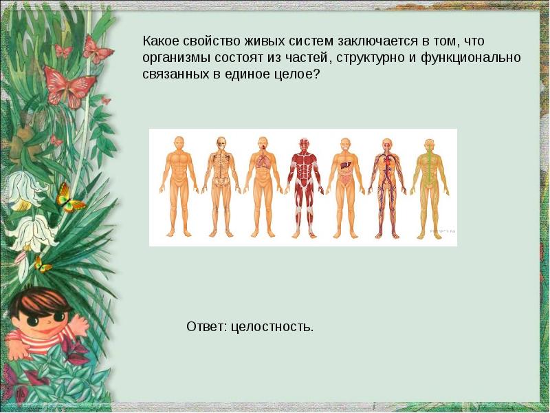 В чем заключается свойство. Какое свойство живых систем что организм состоит. Какоеисврйство живых систем Зак. В чем заключается свойство живых систем.