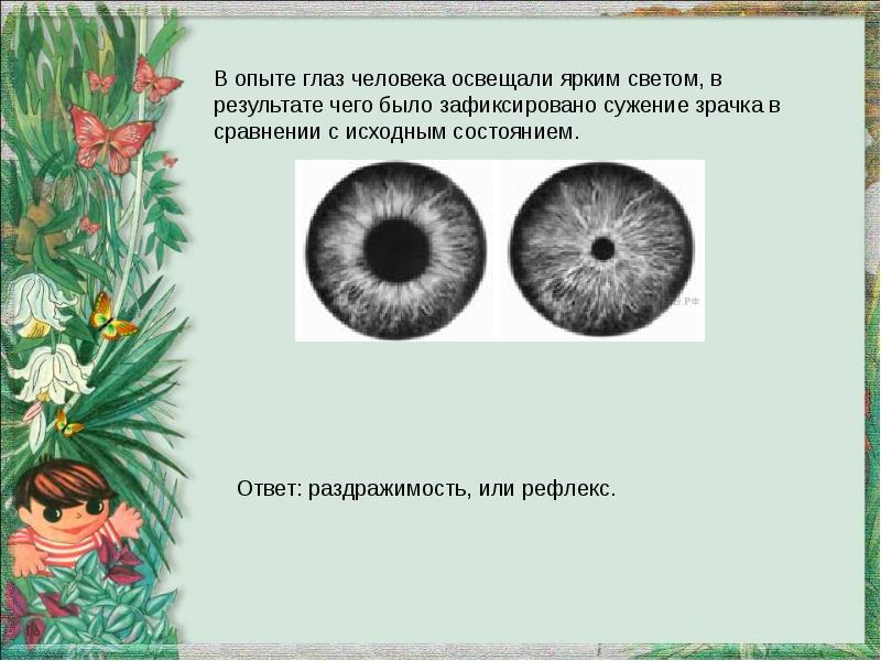 Дали опыты. В опыте глаз человека освещали ярким. Эксперименты с глазами проект. Сужение зрачка это раздражимость.