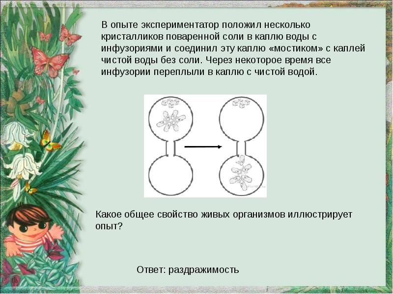 В изображенном на рисунке опыте экспериментатор осветил под микроскопом часть капли воды с живыми