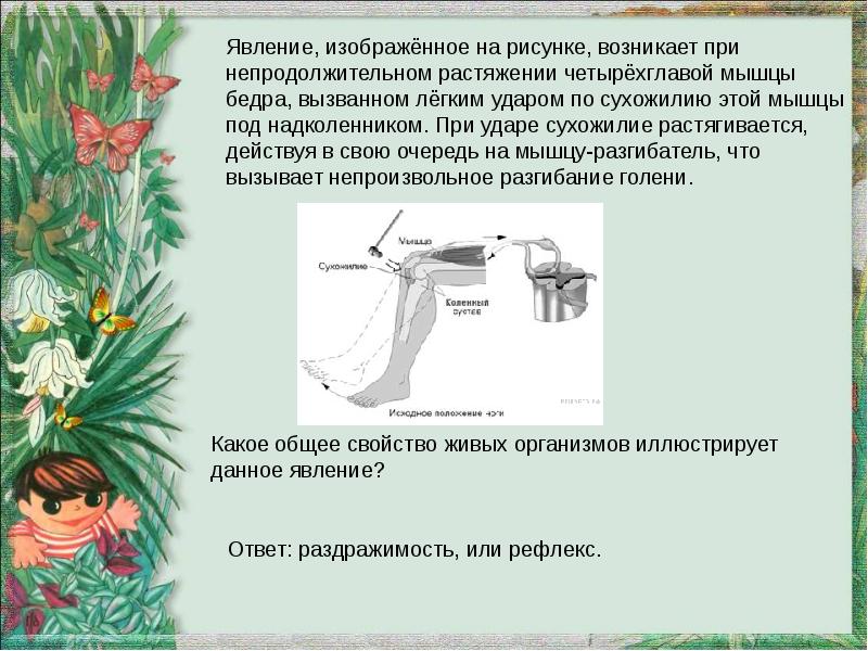 В изображенном на рисунке опыте экспериментатор осветил под микроскопом часть капли воды с живыми