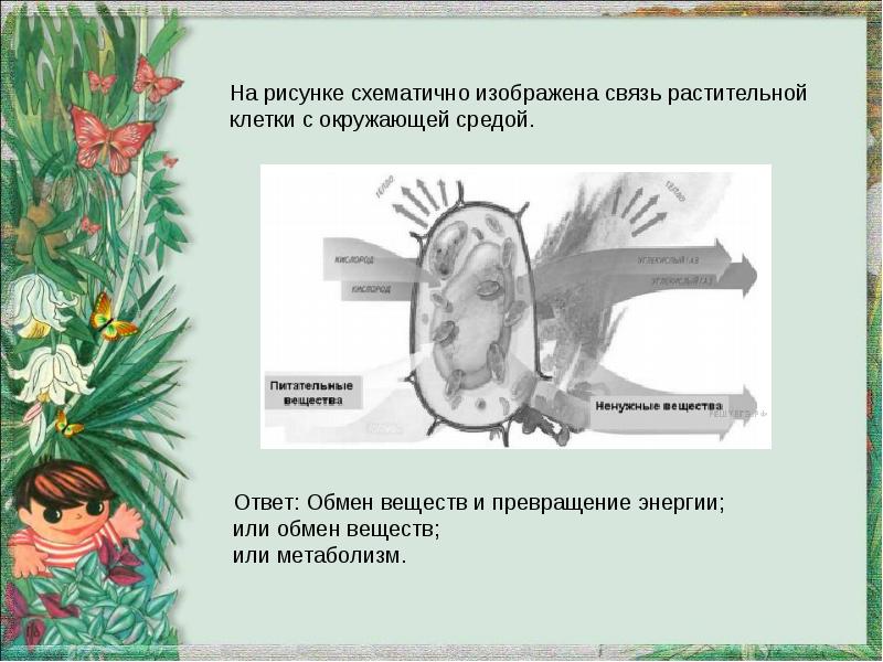 Общее свойство живых систем иллюстрируют