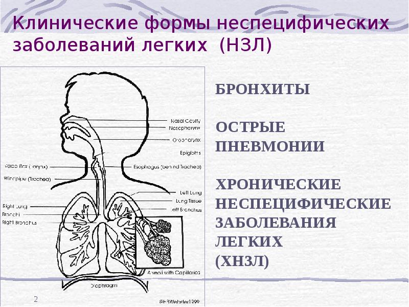 Тест заболевания верхних дыхательных путей