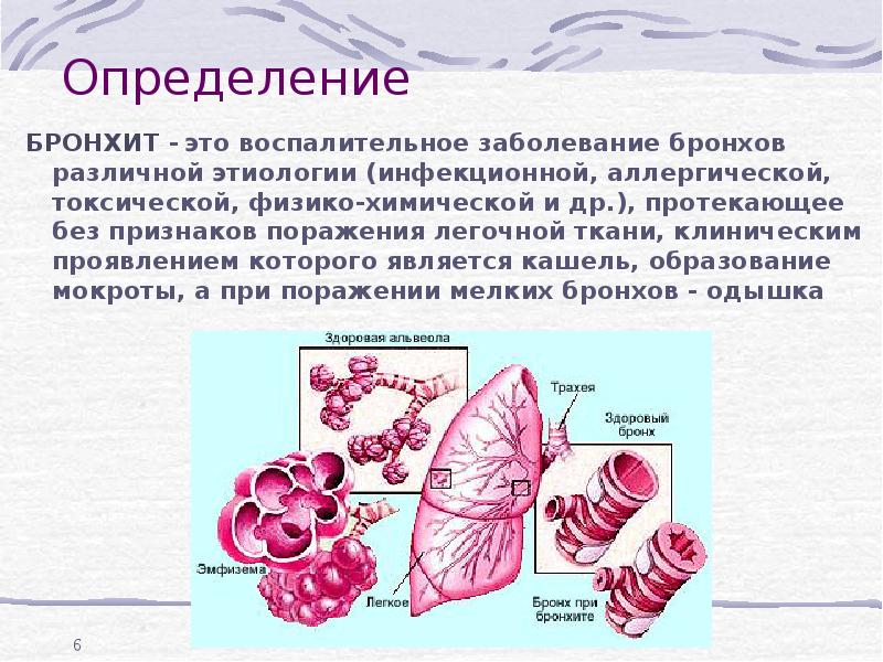 Обструктивный бронхит что это. Как образуется мокрота в бронхах.