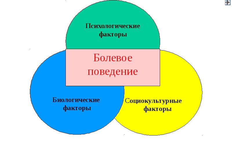 Личностные факторы. Факторы социокультурного поведения. Факторы социокультурного поведения человека. Социокультурные факторы восприятия в психологии. Психические факторы цивилизации.