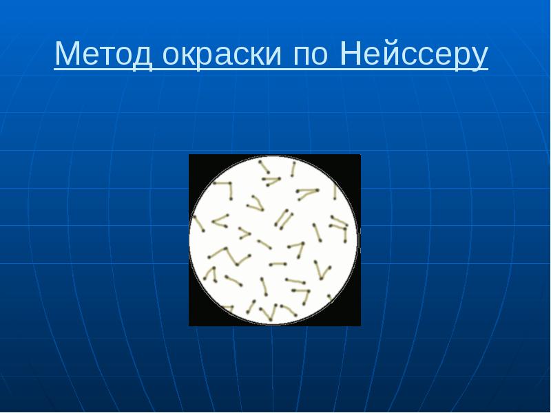 Питание и рост микроорганизмов презентация