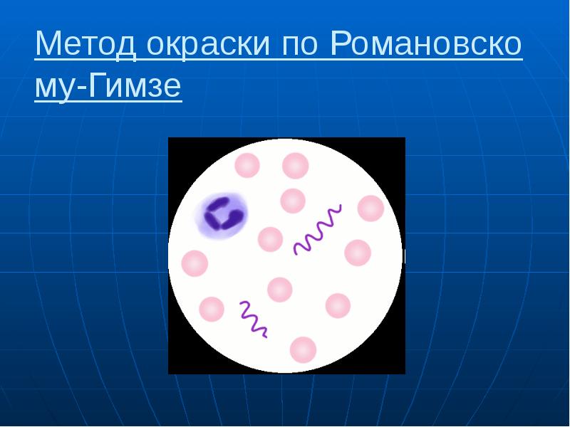 Питание и рост микроорганизмов презентация