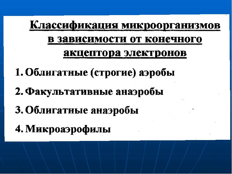 Питание и рост микроорганизмов презентация