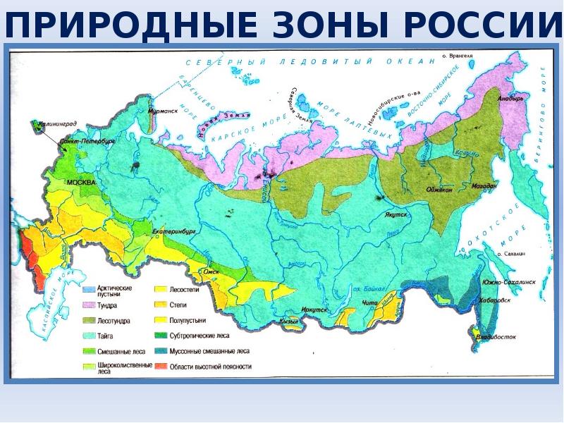 Карта тундры 4 класс окружающий мир