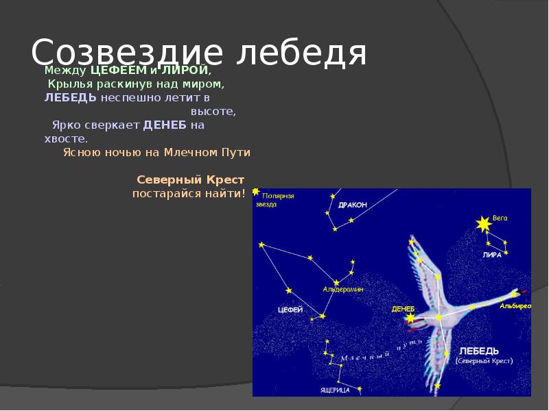 Созвездие лебедь схема