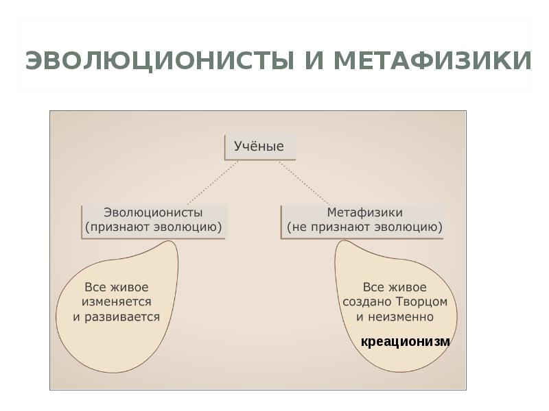 эволюционисты. кто такой эволюционист. рулье эволюционист. грегор иоганн мендель генетика. добржа́нский книги.