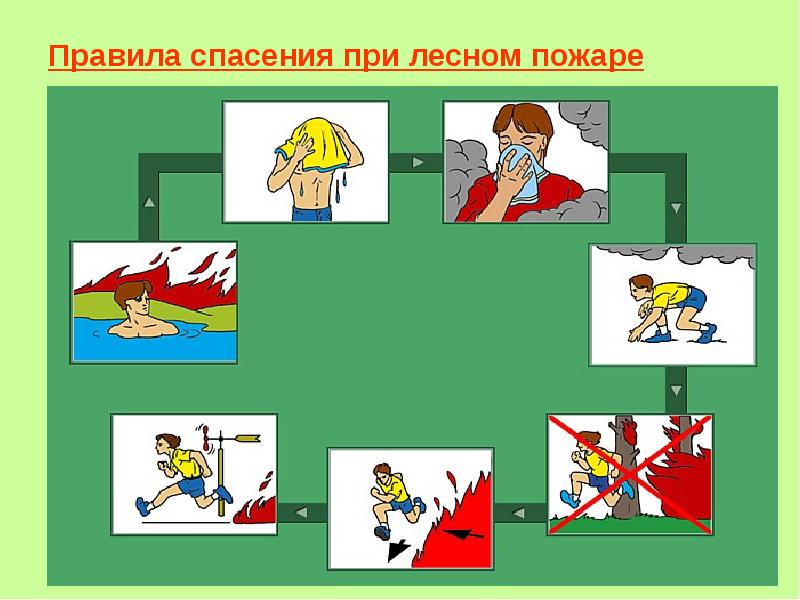 Лесные пожары проект 2 класс