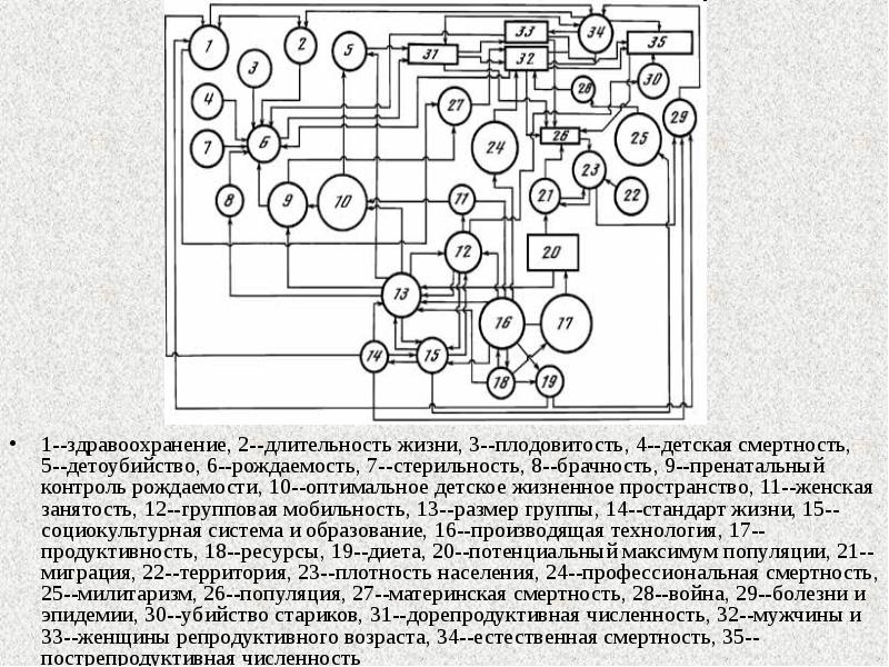 Как связаны плодовитость продолжительность