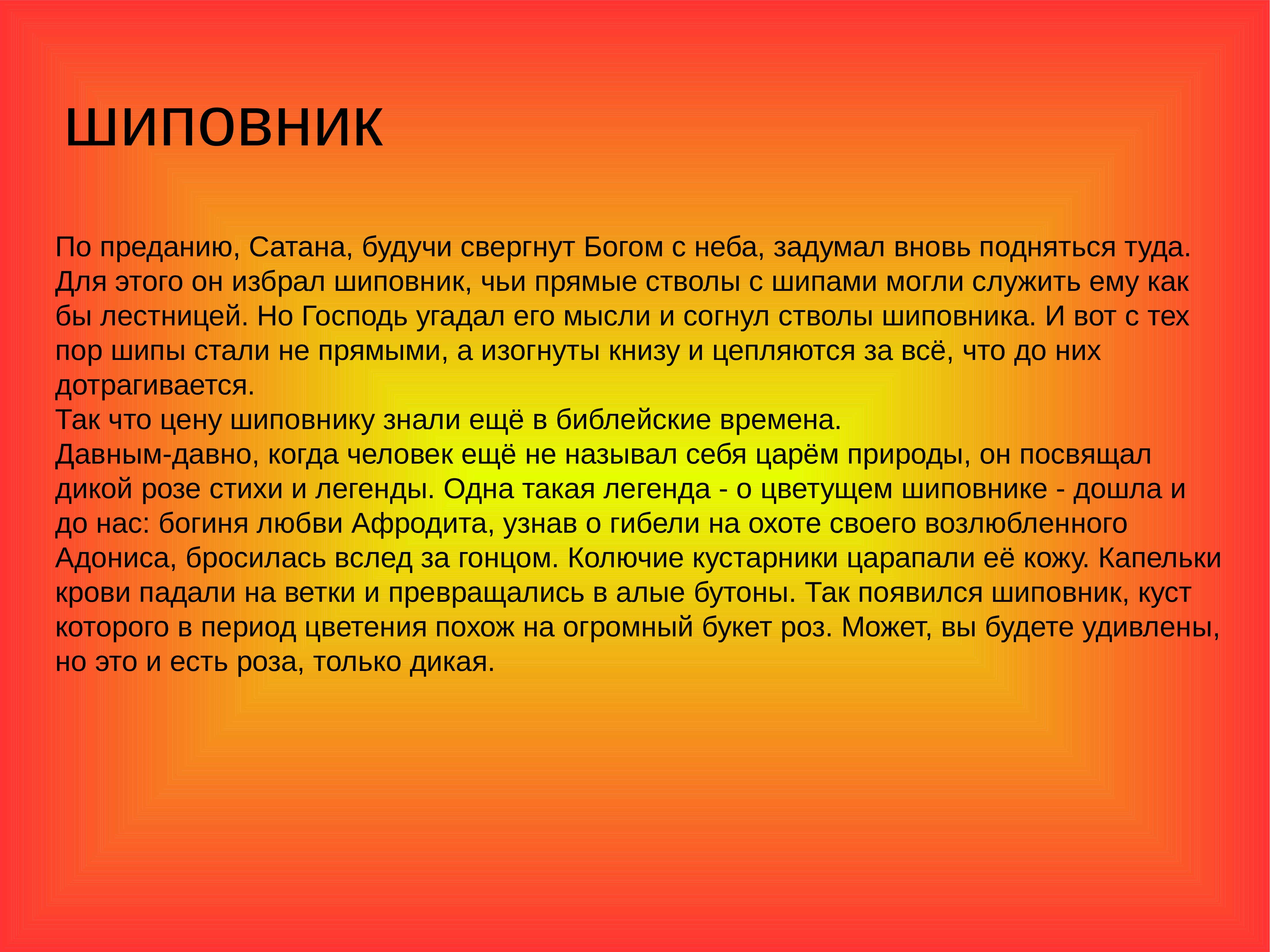 Ж санд о чем говорят цветы презентация