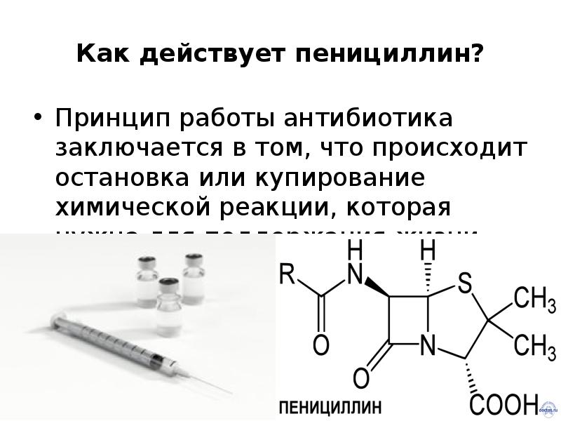 Пенициллин производство антибиотиков